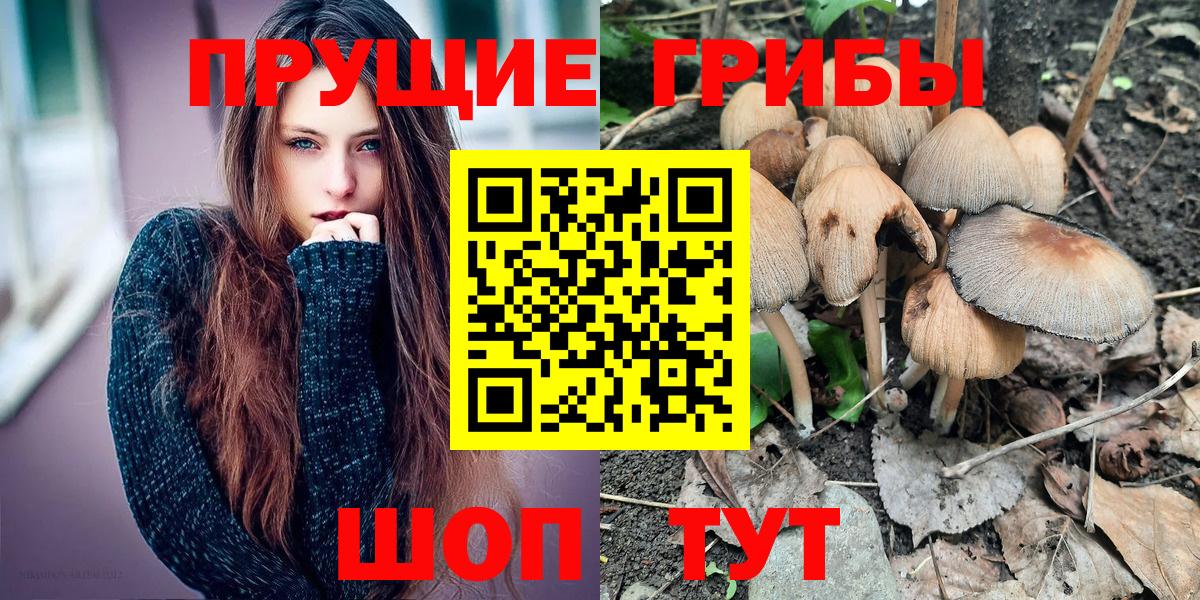 Галлюциногенные грибы мухоморы Кисловодск