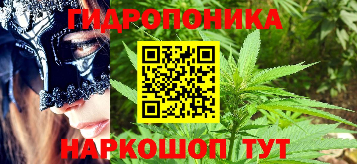 Бошки марихуана тримм  Вход с VPN  Канабис LSD WEED  Бошки Шишки SATIVA & INDICA  Кисловодск  Бошки Шишки тримм 